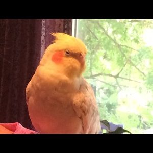 Meet your Posher, Jill