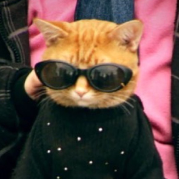 Meet your Posher, Keely - Picture 1 of 1