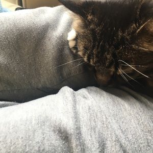 Meet your Posher, Kumi