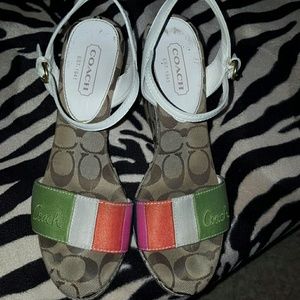 Multi Color Wedges