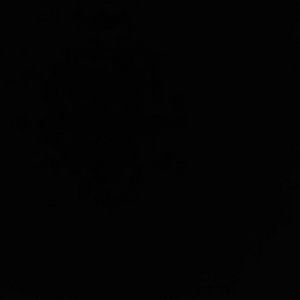 Meet your Posher, Poteet