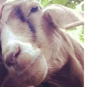 Meet your Posher, Zoe