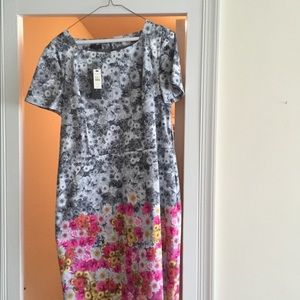 Talbots size 16 dress