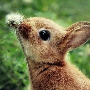 Meet your Posher, Esperanza