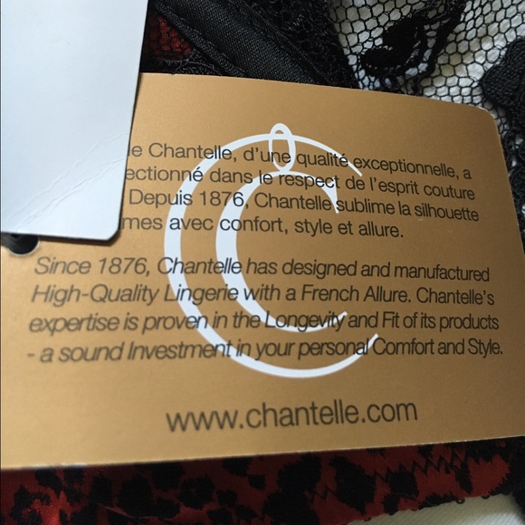 NWT Chantelle garter.  EUR Size 2 - Picture 3 of 3