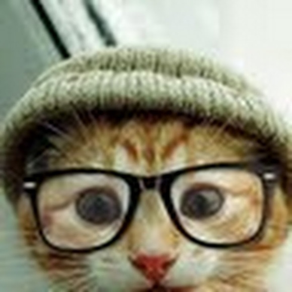 Meet your Posher, Evy - Picture 1 of 1