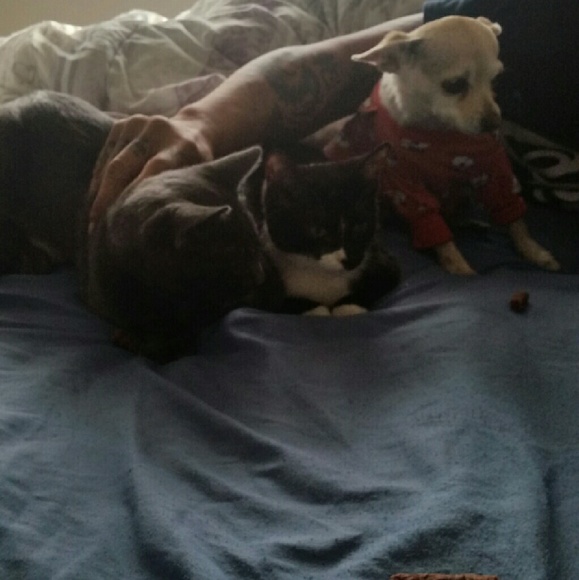 Meet your Posher, Deborah - Picture 4 of 4