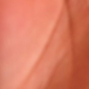 Meet your Posher, Orin