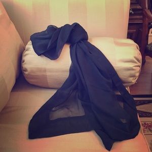 Silk Georgette Scarf/Shawl