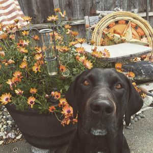 Meet your Posher, Macie