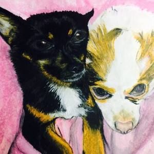 Meet your Posher, Darla