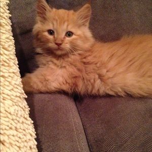 Meet your Posher, Hope