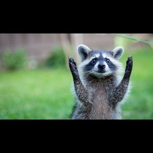 Meet your Posher, Y v e t te