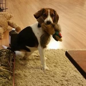 Meet your Posher, Maureen