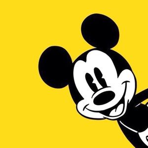 Meet your Posher, Esther