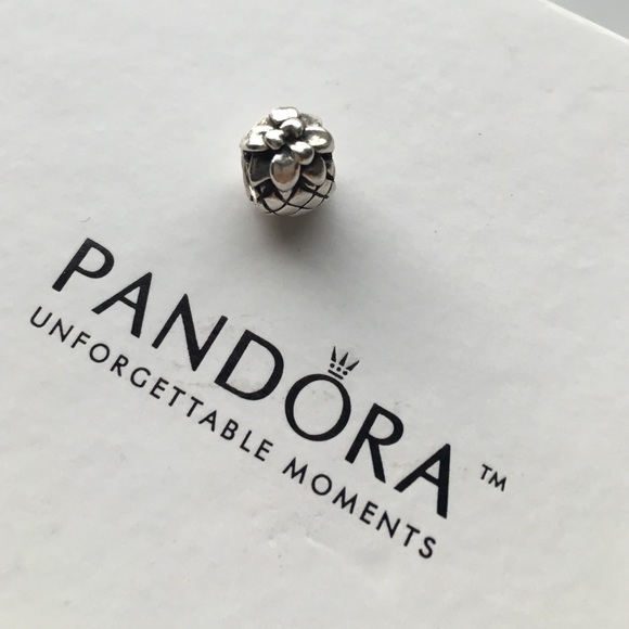 Pineapple charm by Pandora