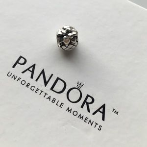 Pineapple charm by Pandora