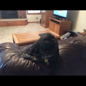 Meet your Posher, Laurie