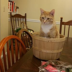 Meet your Posher, Marie-louise