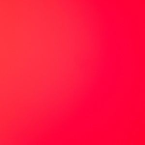 Meet your Posher, Lee