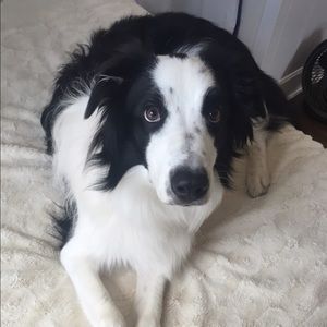 Meet your Posher, Rayne