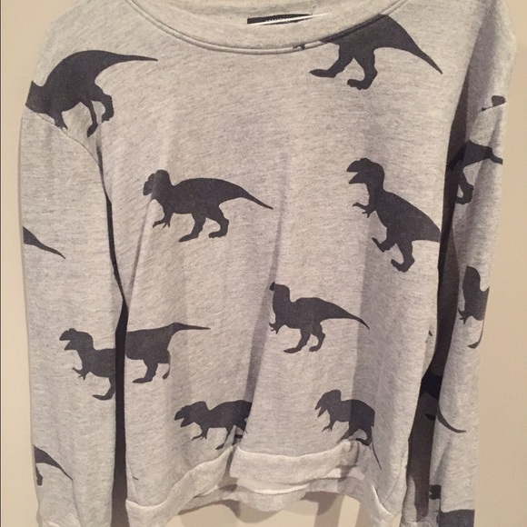 Dinosaur sweatshirt