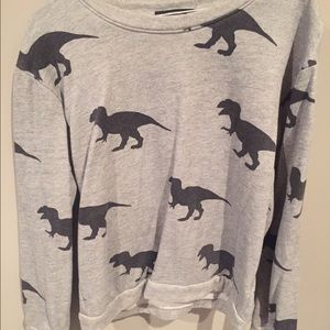 Dinosaur sweatshirt