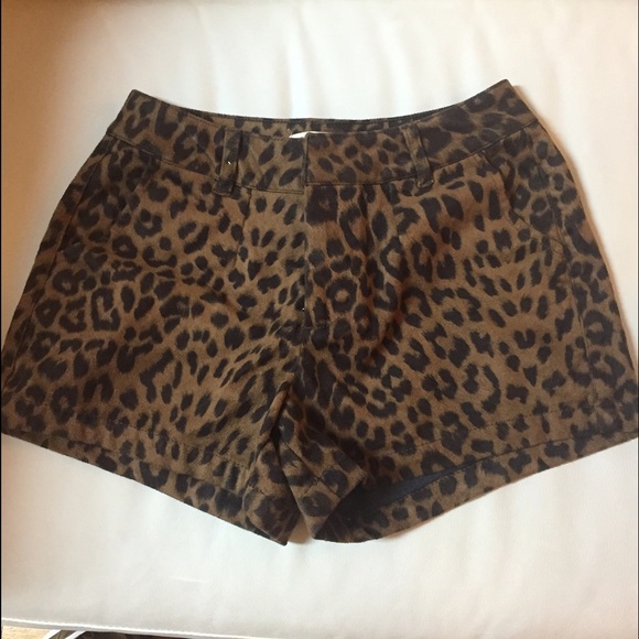 Leopard Print Shorts - Picture 2 of 4