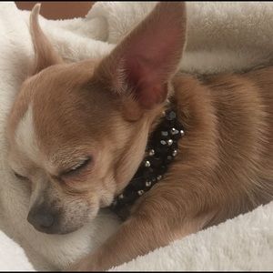 Meet your Posher, Annette