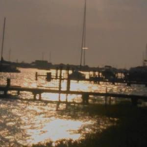 Meet your Posher, Carol