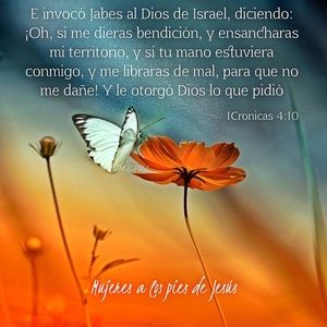 Meet your Posher, Susana