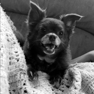 Meet your Posher, Jamie