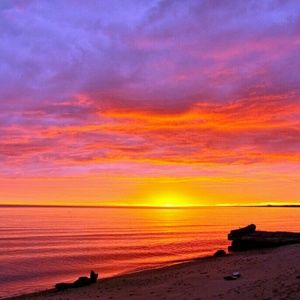 Meet your Posher, Sheridan