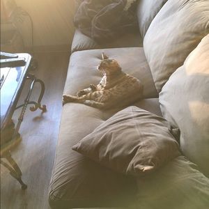 Meet your Posher, Dillon