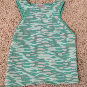 Zara light green semi crop top