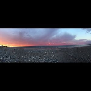 Meet your Posher, Maddie