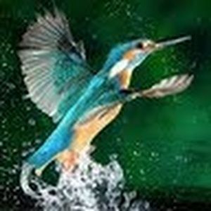 Meet your Posher, Eliza