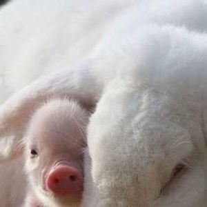 Meet your Posher, Kay