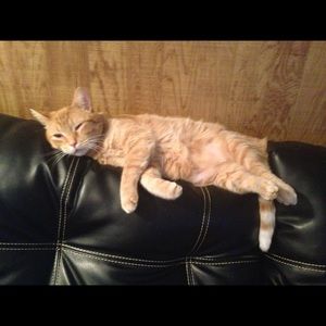 Meet your Posher, April