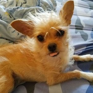 Meet your Posher, Vickie