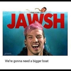 Meet your Posher, Gracie