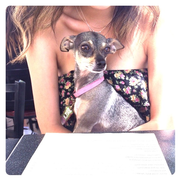 Meet your Posher - Picture 1 of 1