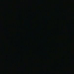 Meet your Posher, Trisha