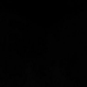 Meet your Posher, Layla