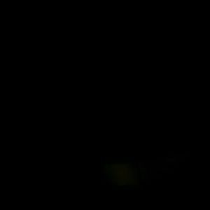 Meet your Posher, Horace