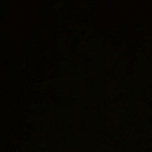 Meet your Posher, Deloris