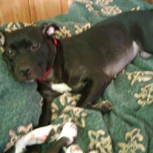 Meet your Posher, Jackie