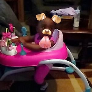 Meet your Posher, Kewaski