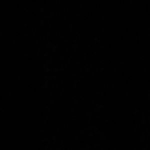 Meet your Posher, Warnessia