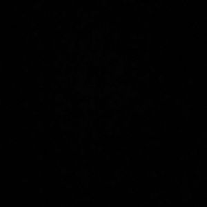 Meet your Posher, Lashonda